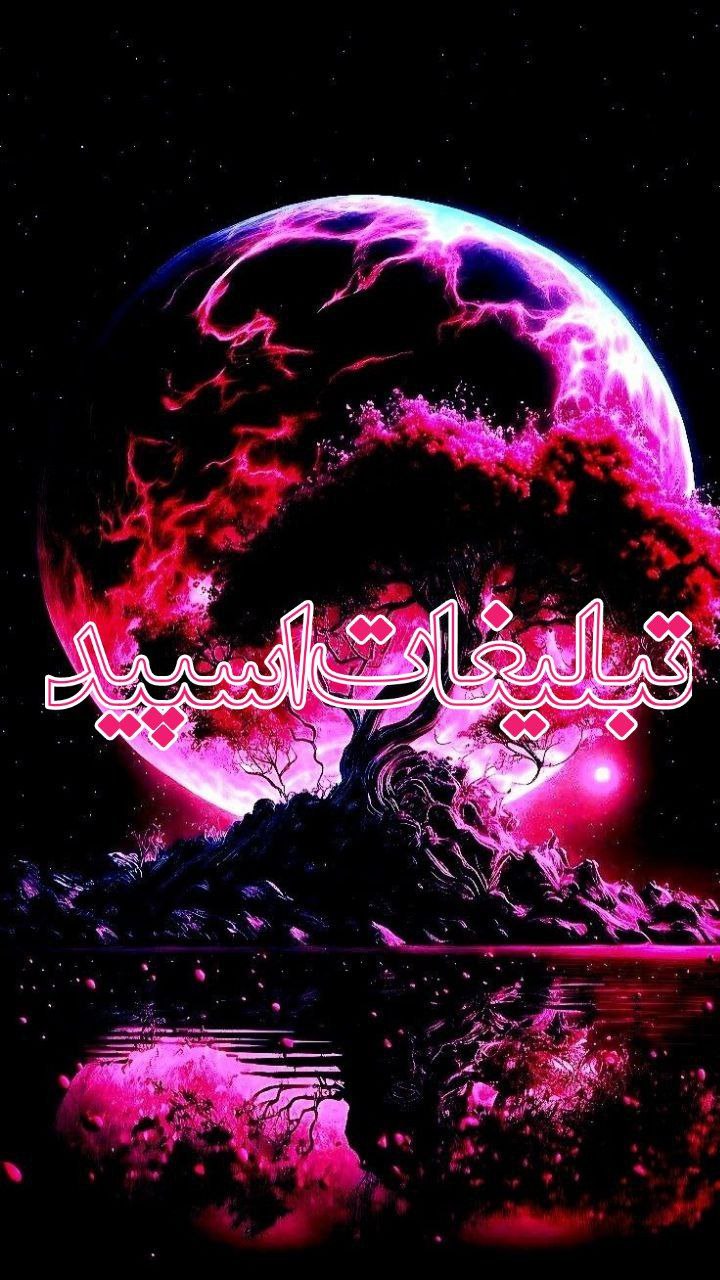 وایلد ولف (260)