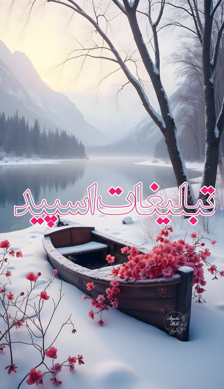 کافه شب‌های عاشقی (7)