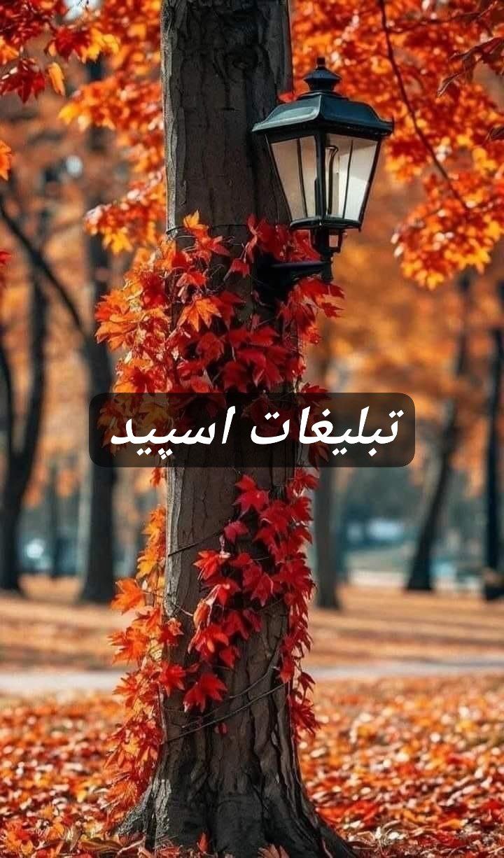 گروه تلگرام دورهمی مازنی