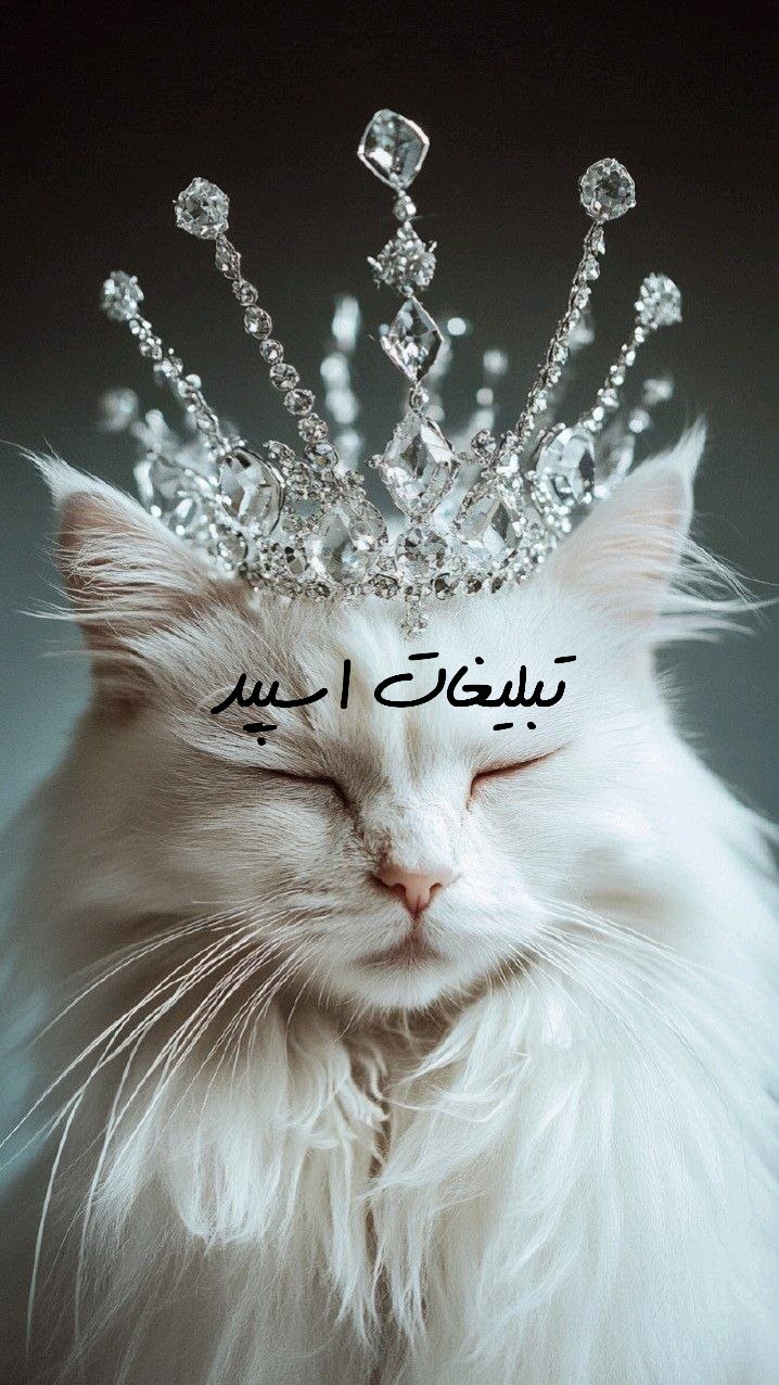 گروه تلگرام چت آریایی ها