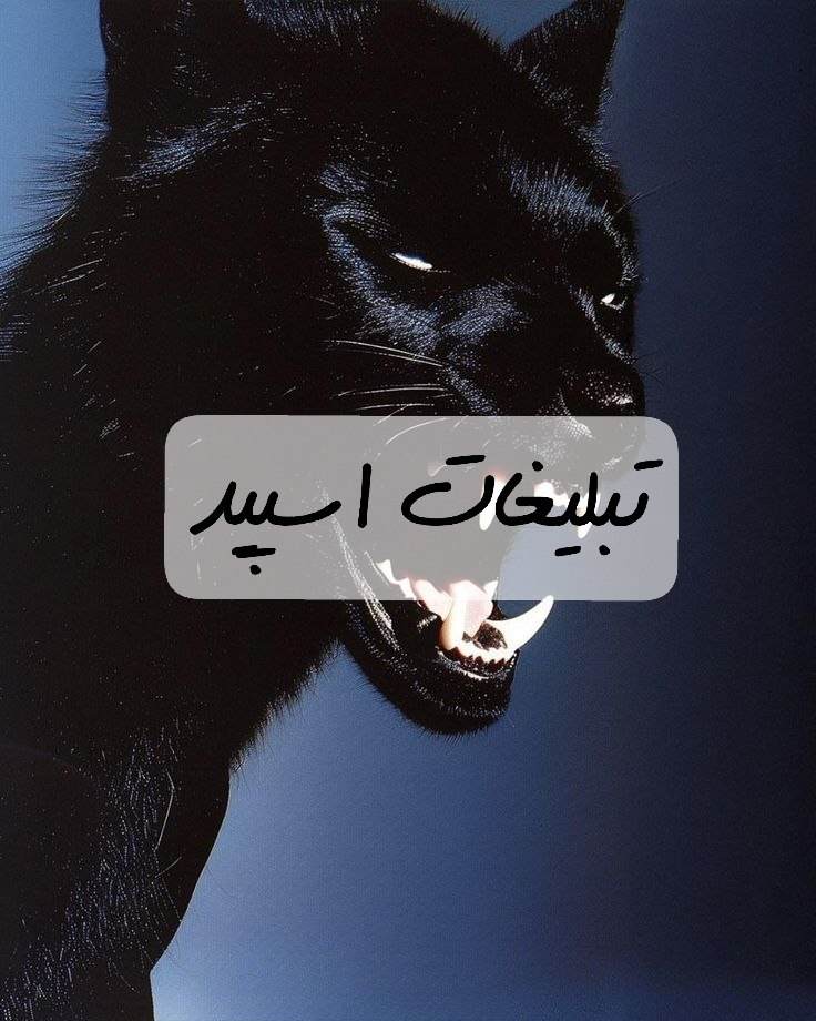 گروه تلگرام پاتوق عشق چهارمحال بختیاری