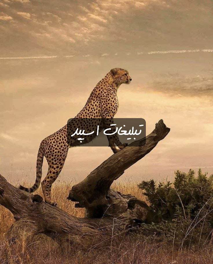 گپ تلگرام دختر پسرهای شیطون