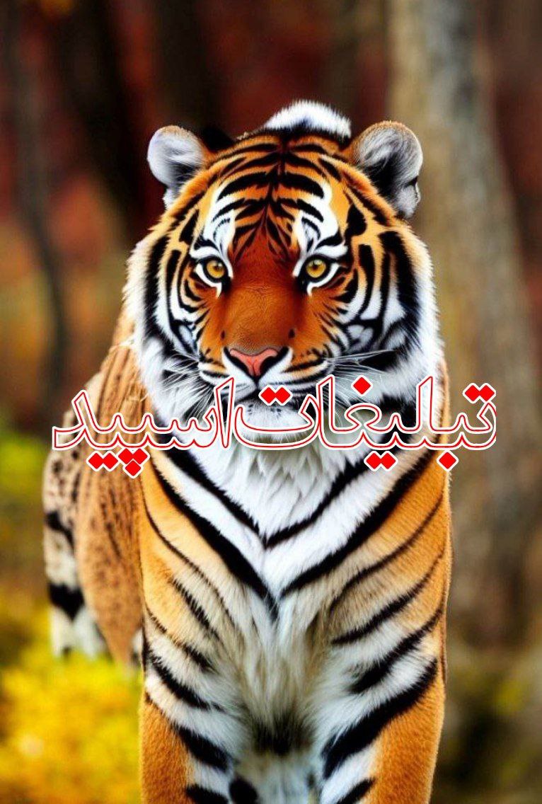 ⎯꯭᪵̽𝆺꯭𝅥𝐖𝐈𝐋𝐃𓆩᪵🜲꯭𓆪̥𝐖𝐎𝐋𝐅⎯꯭꥓᪵ͯ⟶ (192)