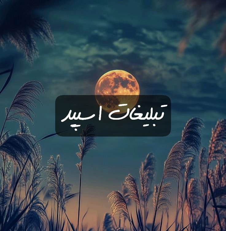 گروه تلگرام میتینگ ویس کده