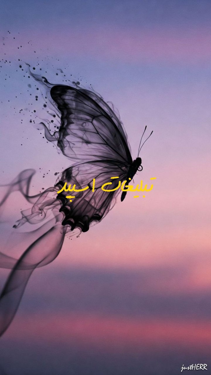 گروه تلگرام بانه سیتی