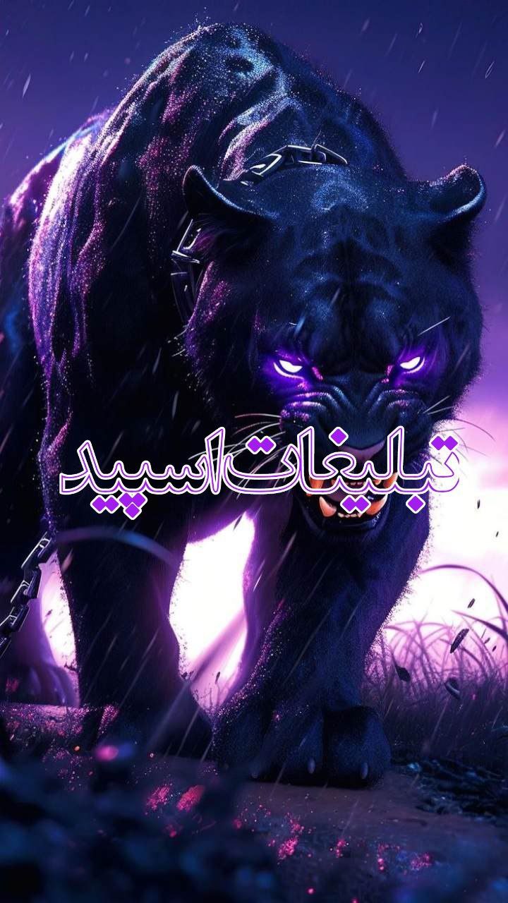 رفقا فایریک