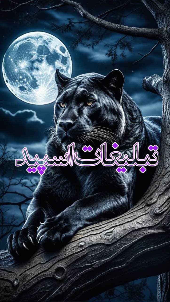 چتکده دلها