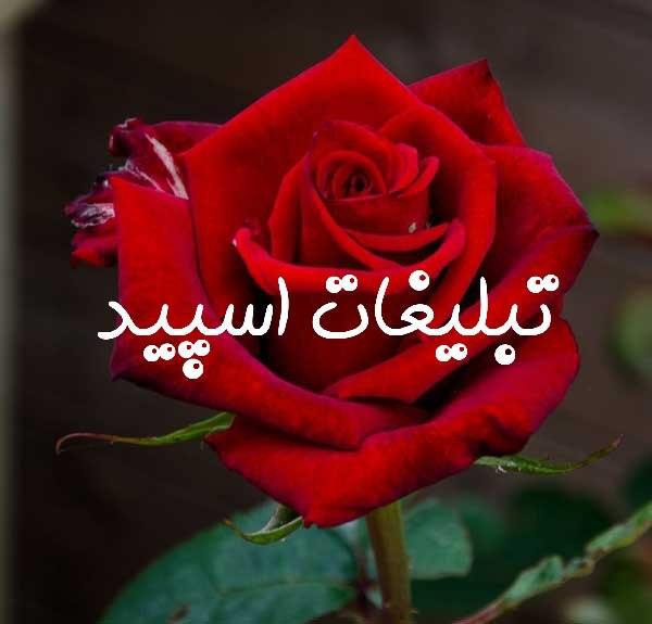 گروه چت تلگرام تهران 021