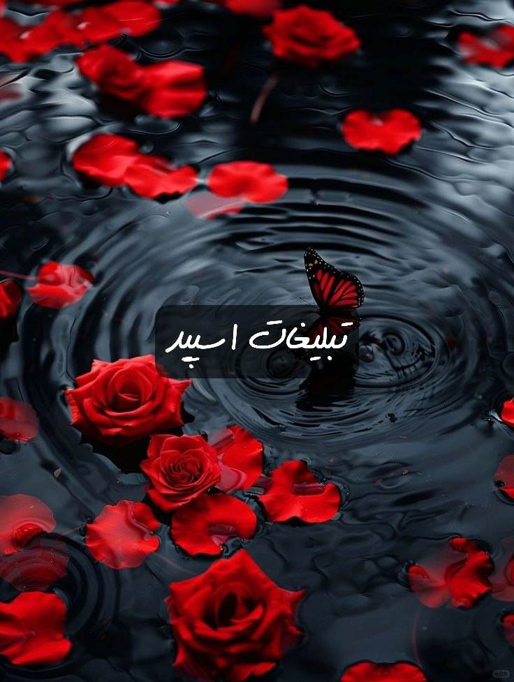 گروه تلگرام کلبه معرفت