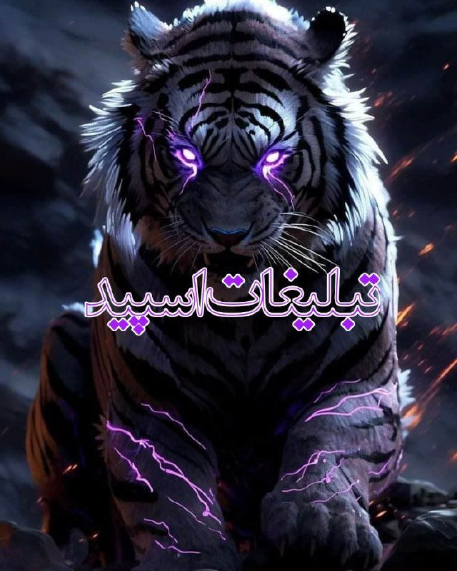 لایو ناب