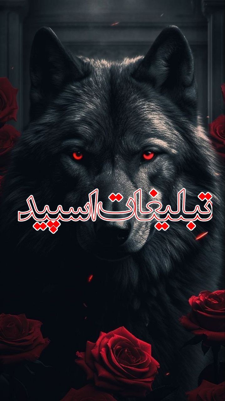 🫧🌹غریبه های آشنا🌹🫧