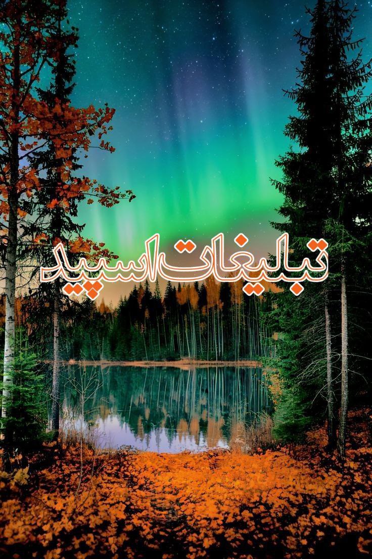 کافه ناب