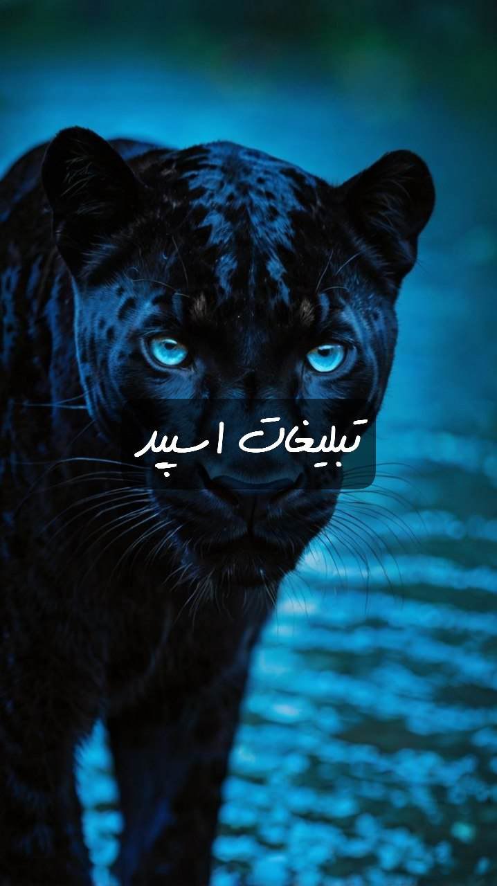 گپ تلگرام قلمروه عشق
