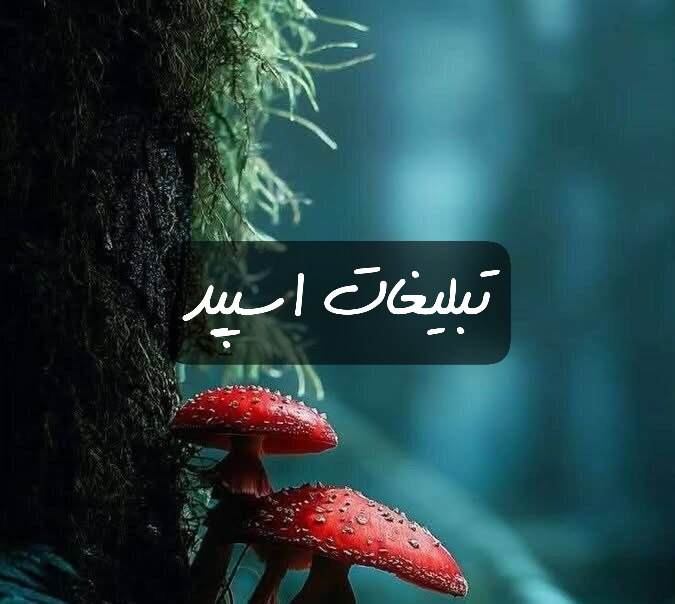 گروه تلگرام تودلیا