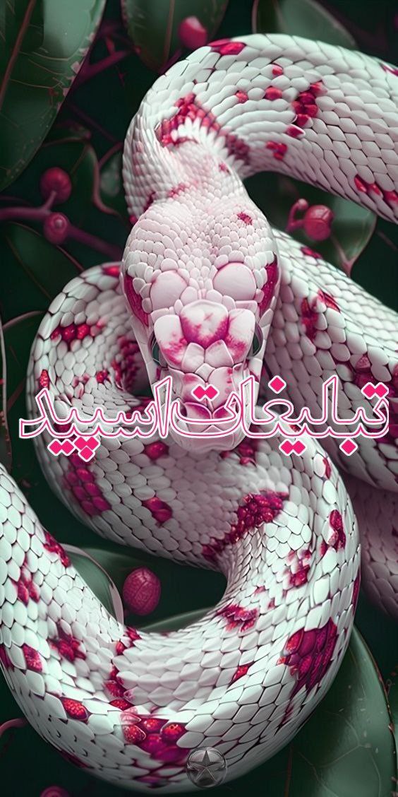 لاکچریا ناب (9)