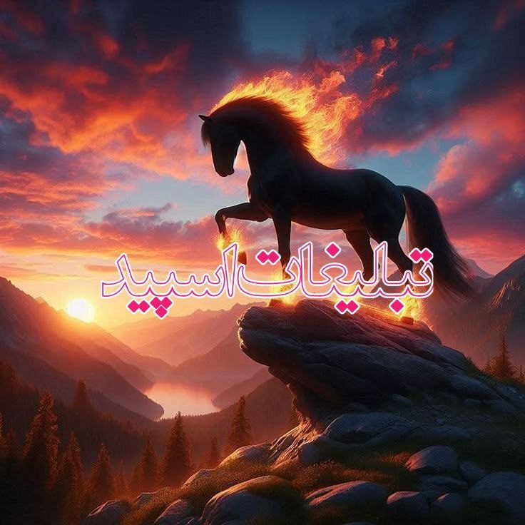 ››▽͟͞𖠇▴⸼ɢᴀᴘ ʀᴏғᴀɢʜᴀ▹🔥