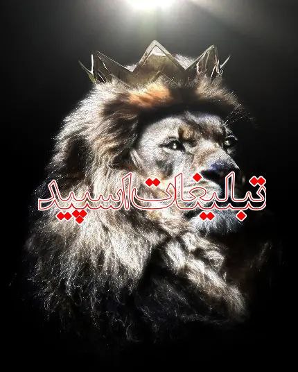 🥂کافه چت 🍷