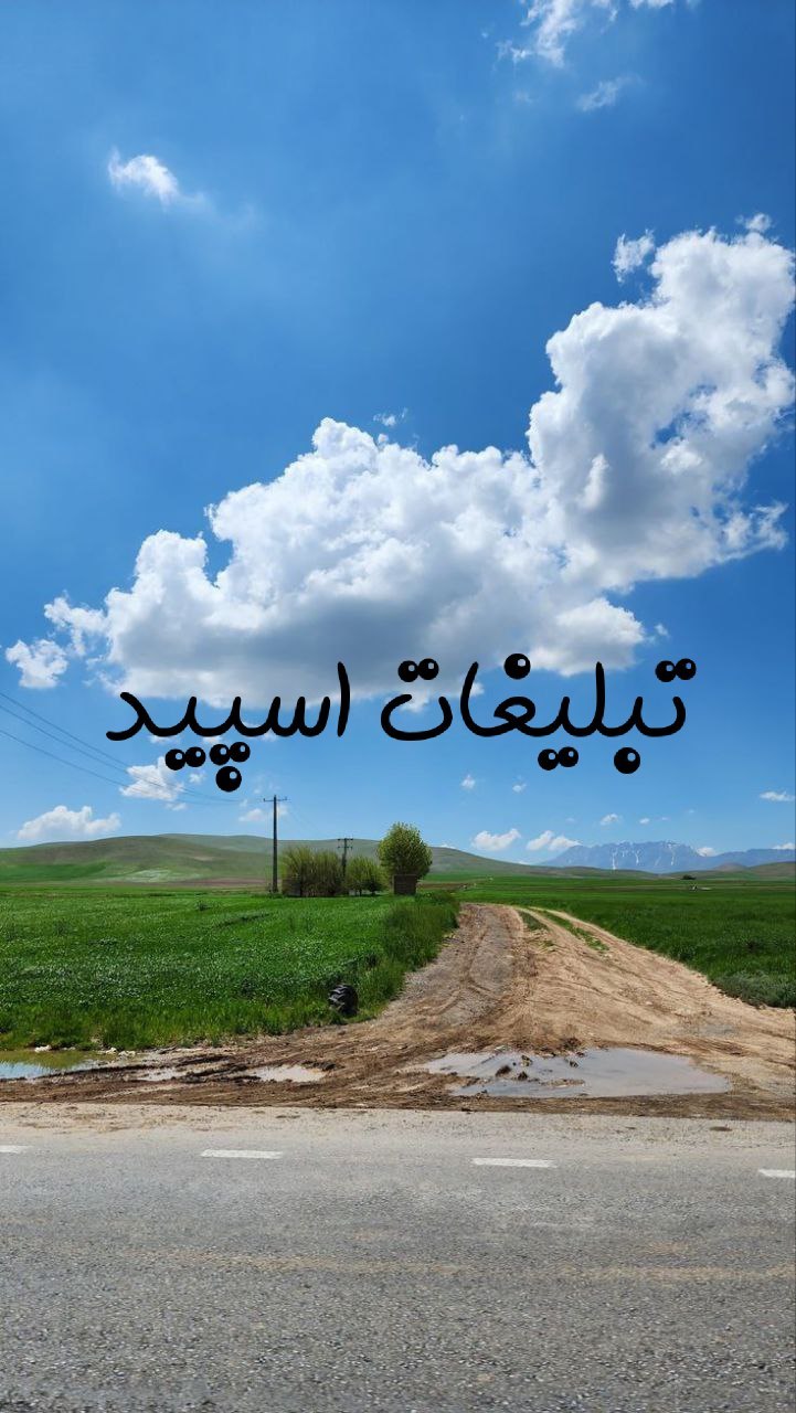 گروه چت تگزاس
