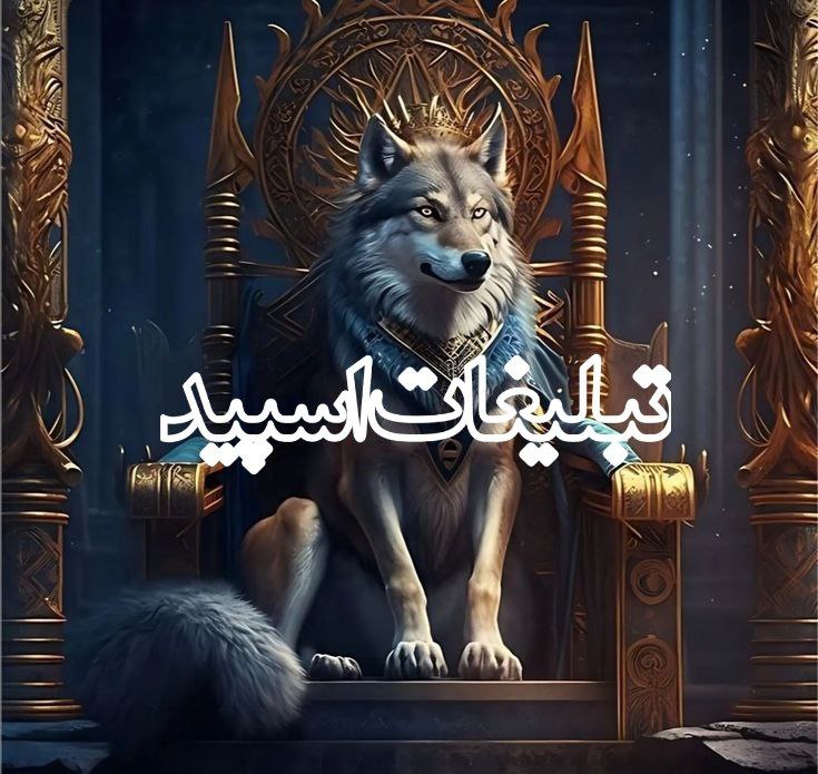 شب‌های زیبای بندر عباس (1)