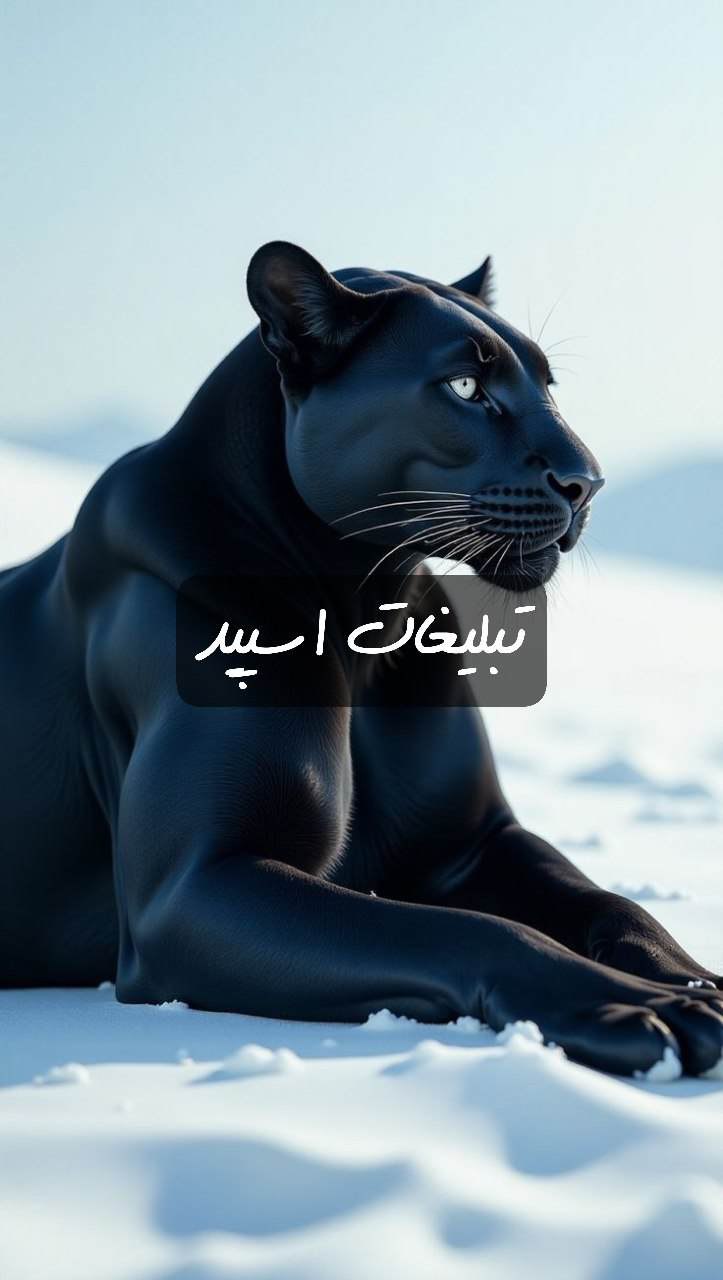 گروه تلگرام فیلم و سریال