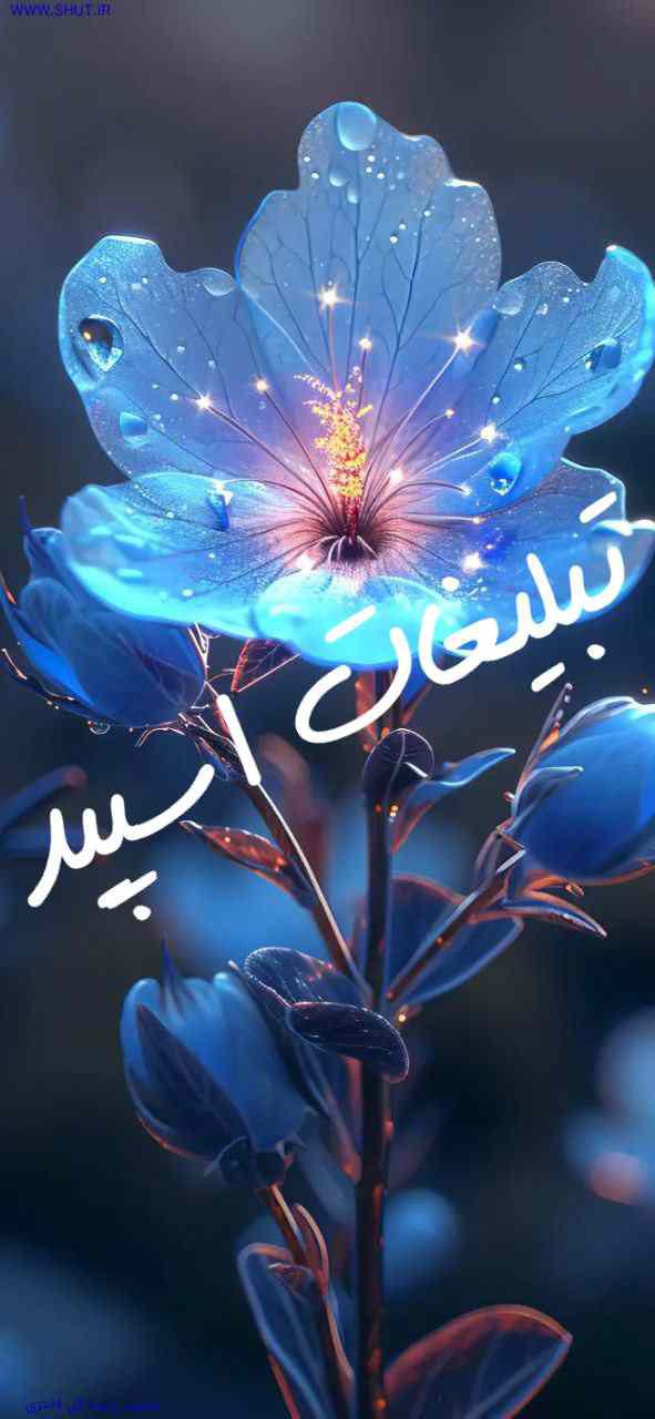 کانال ایتا استیکر باغ بنفش