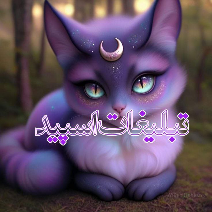 متاهل و مجردها (6)