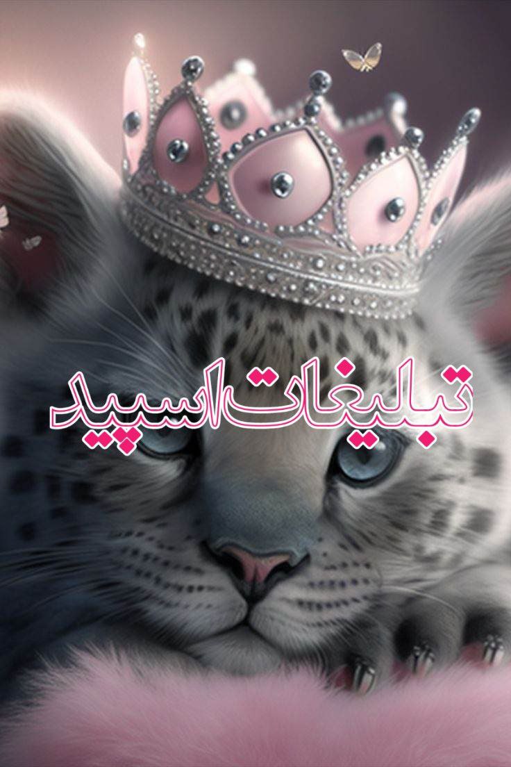 وایلد ولف (344)