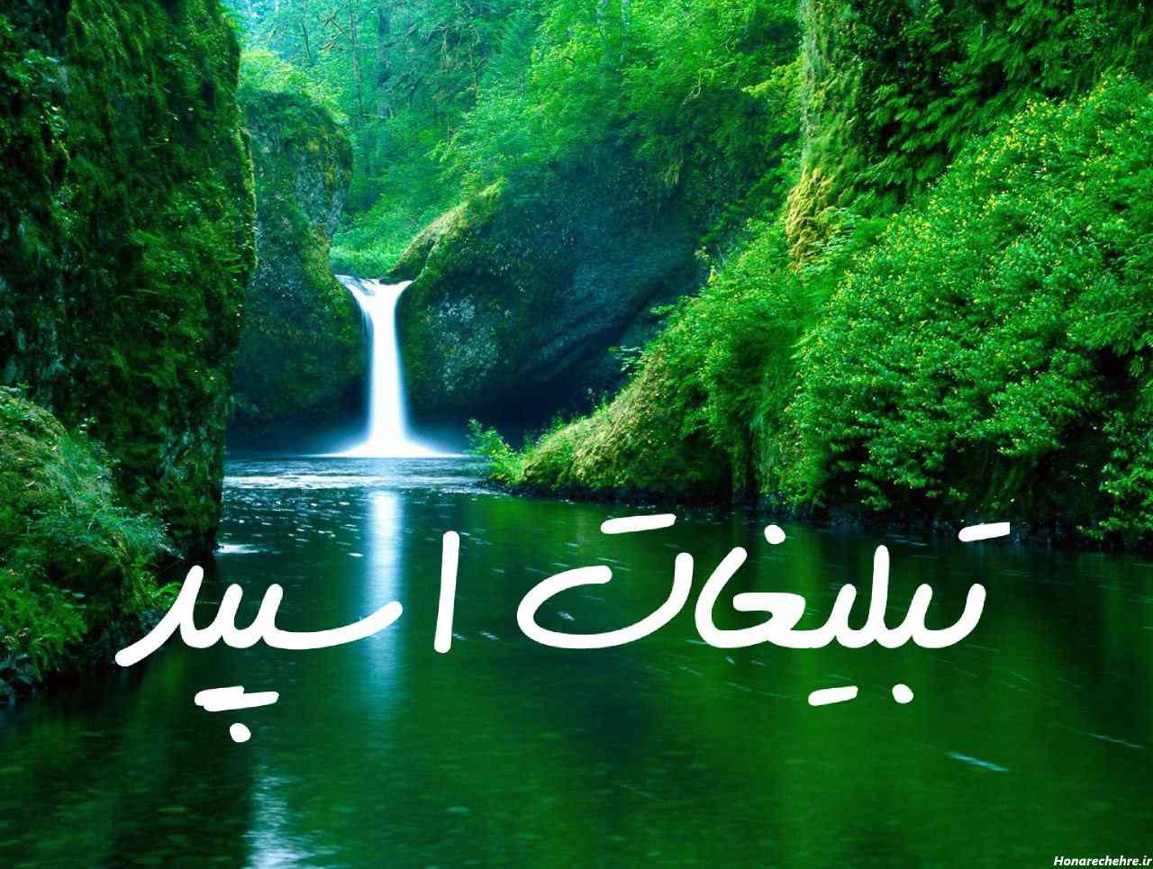گروه واتساپ پاکسازی با اصلاح مزاج