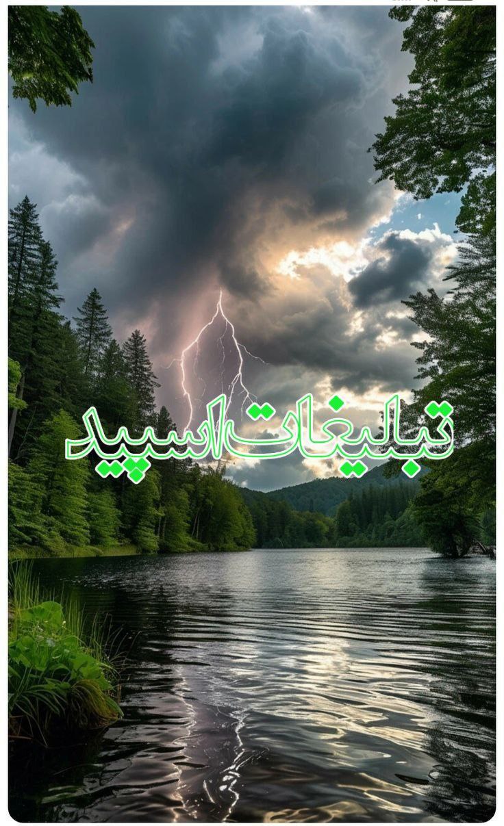 ولف لند (19)