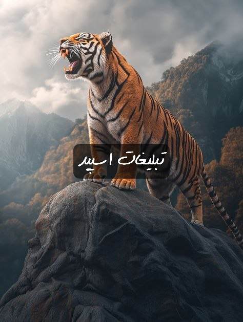 گپ تلگرام پاتوق خوبا