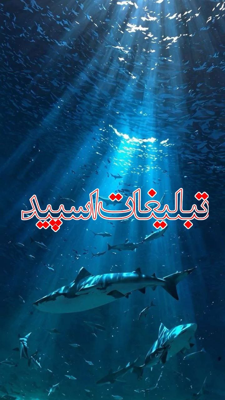 شب های ایرانی