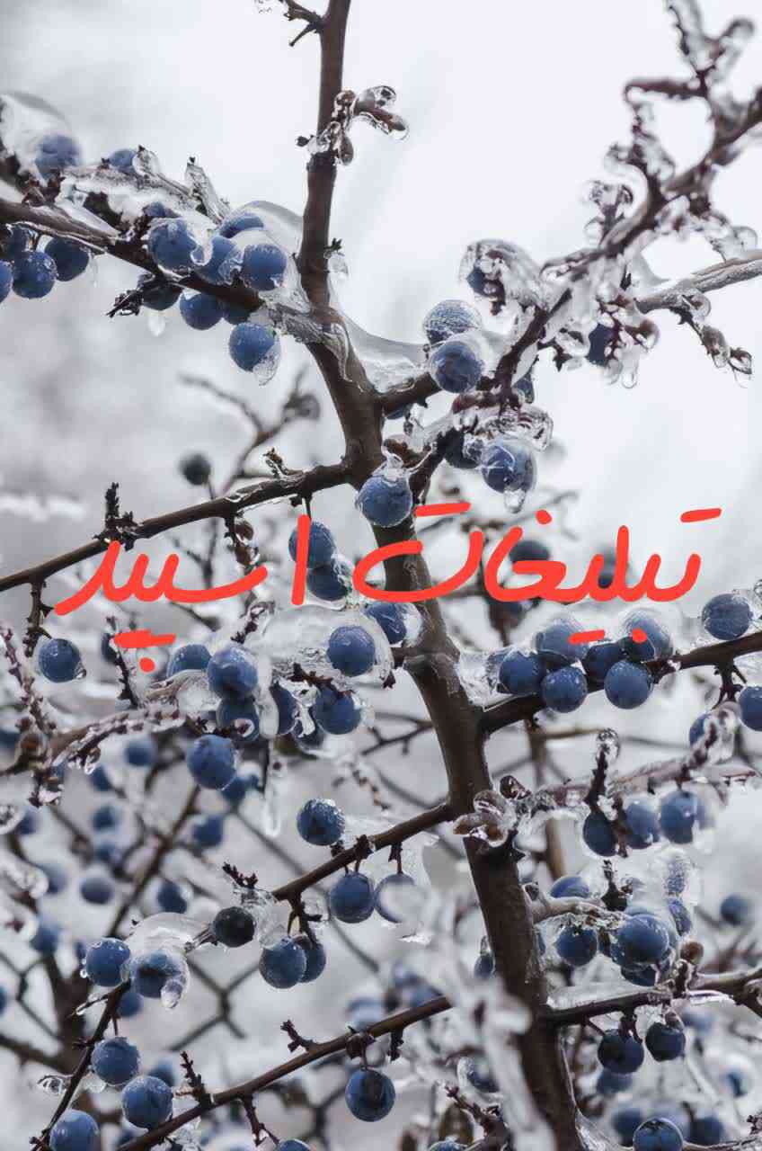 گروهه چت تلگرام تاکسیک