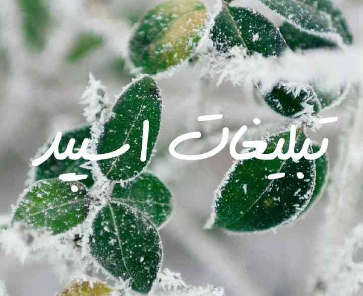 گپ تلگرام چتکده مهربونی