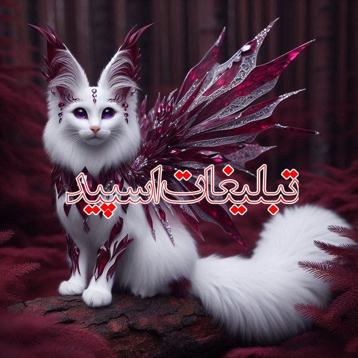 ❤️دورهمی دوستان ❤️ (1)