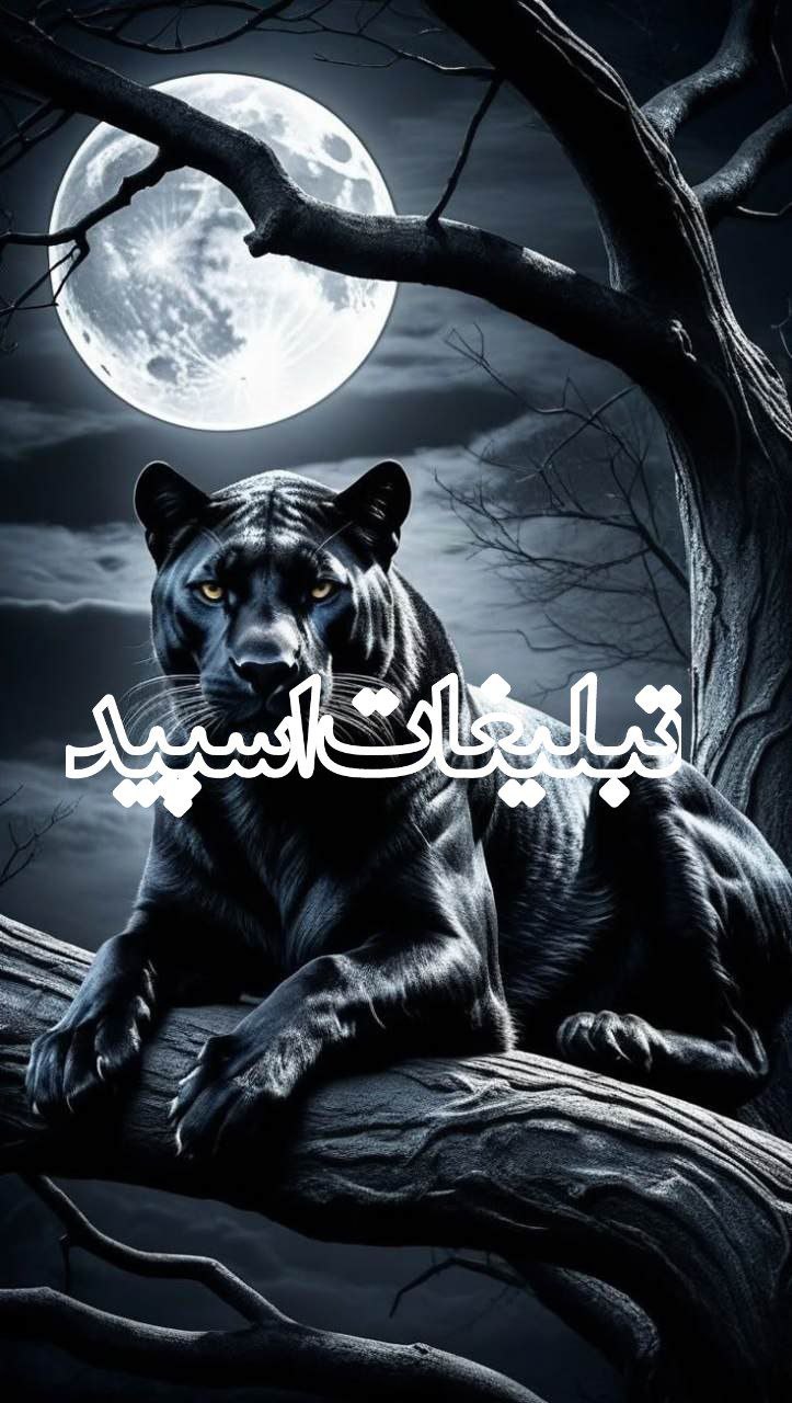 وایلد ولف|WILD WOLF (53)
