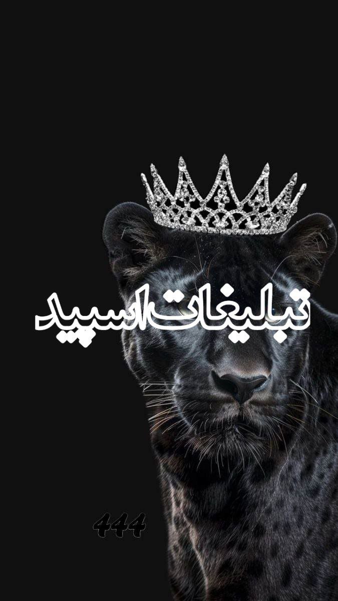 کاف☕️ــــه دلـــهــــــا💕 (3)