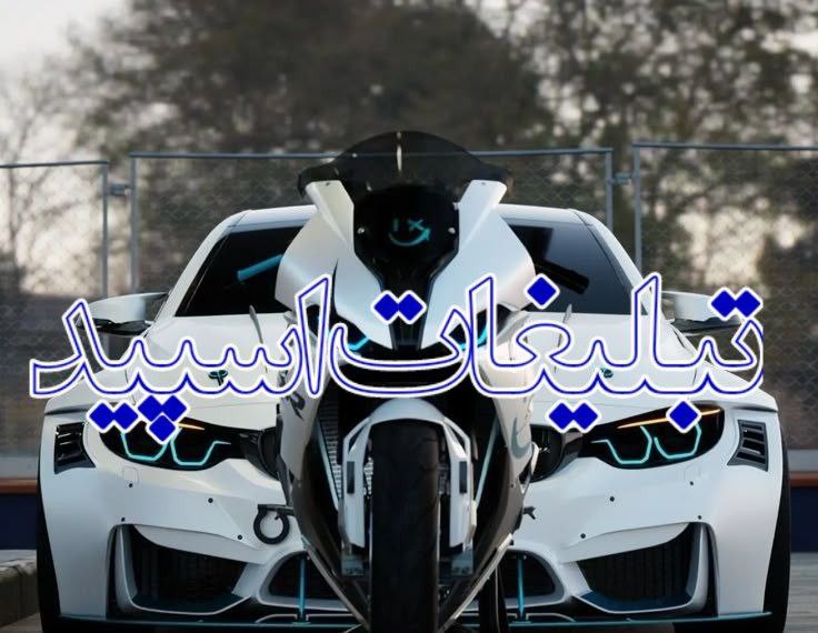 گرگ های ایرانی (1)