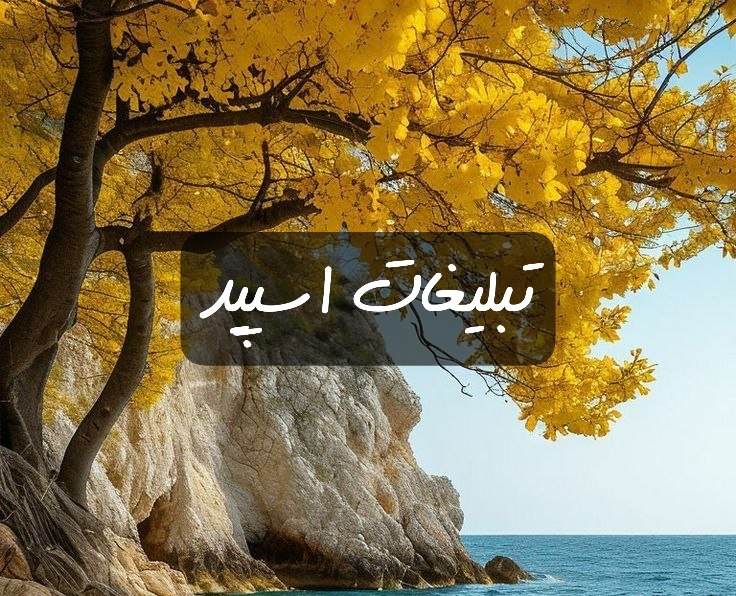 گروه تلگرام کلبه خودمونیا