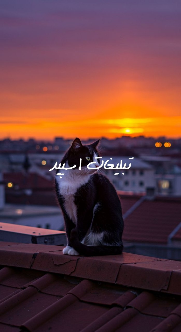 گروه آلاچیق دوستان