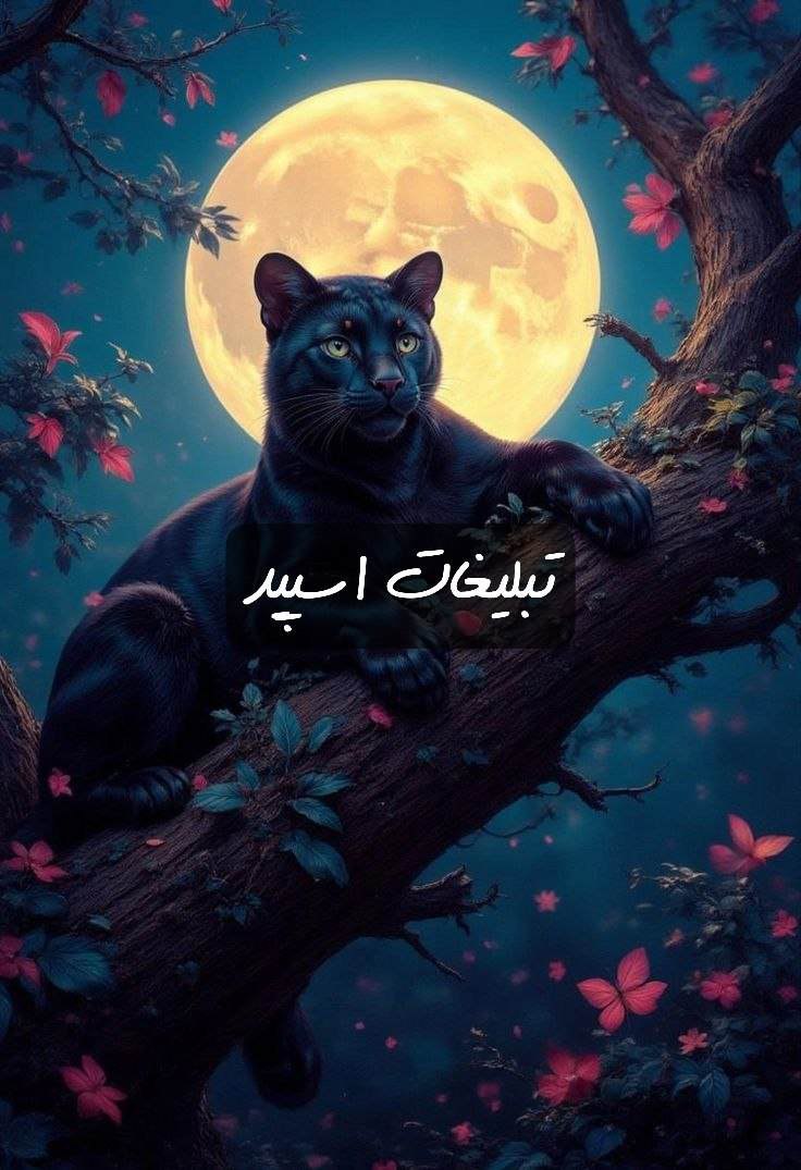 گپ تلگرام ادب و معرفت