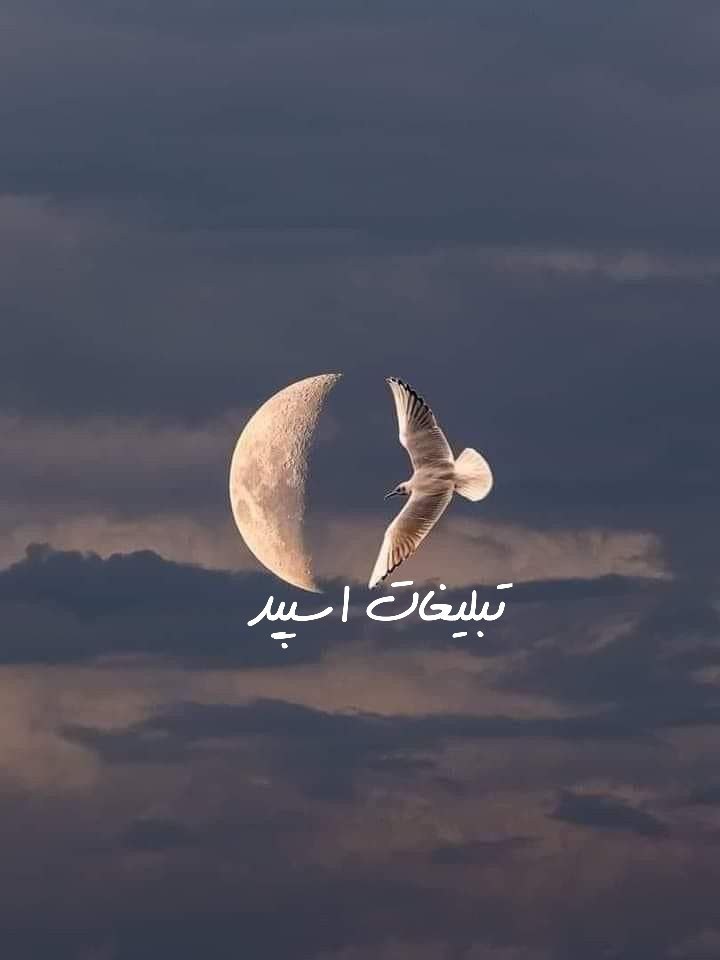 گپ تلگرام کلبه عشاق
