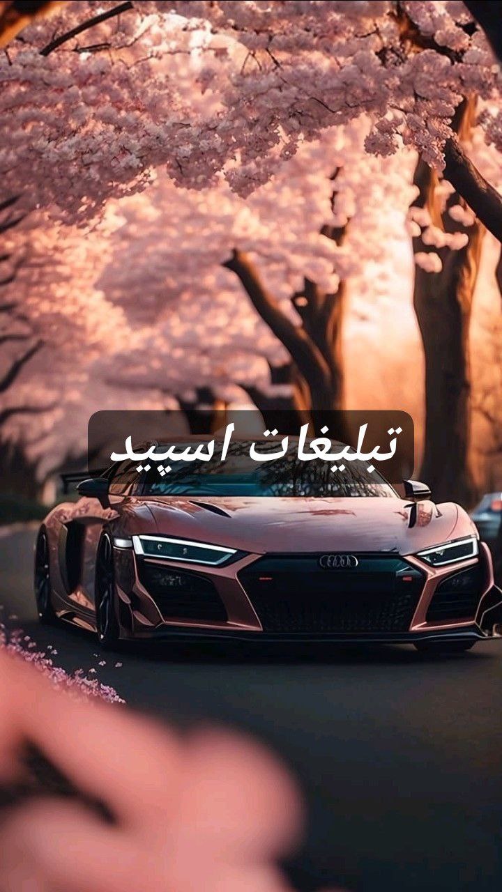 گپ تلگرام ⚜️𝐍𝐎𝐑𝐓𝐇𝐋𝐀𝐍𝐃⚜️