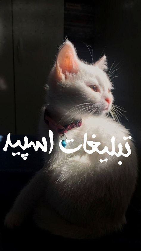 پیج اینستاگرام  میکاپ آرتیست کاس پلی