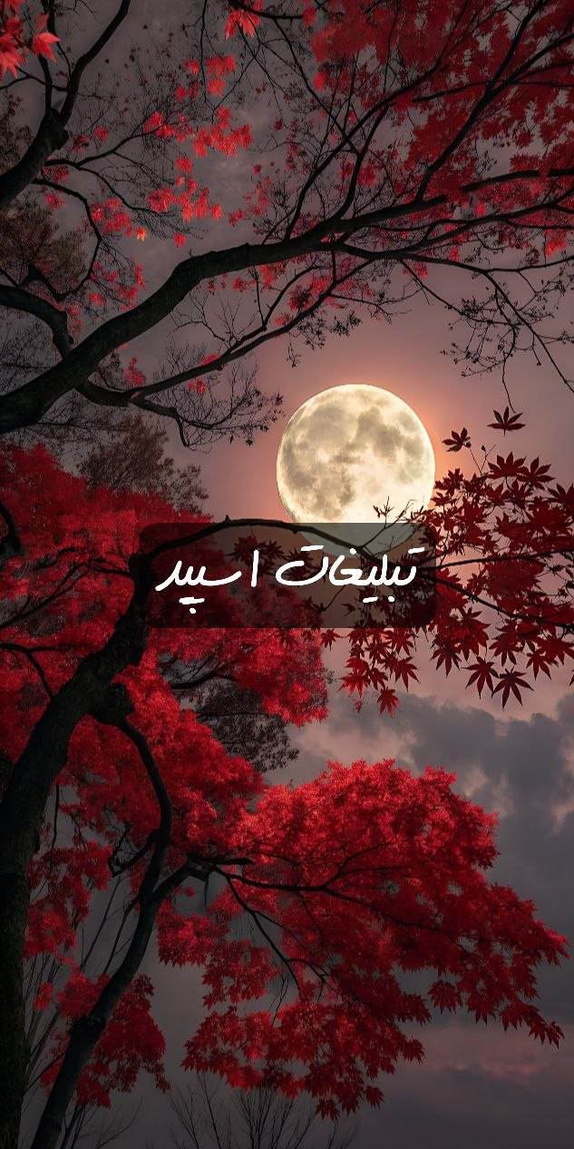 گپ تلگرام دورهی اسفنجی