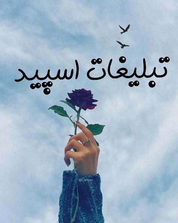 گروه چت شب نشینی با پلنگ