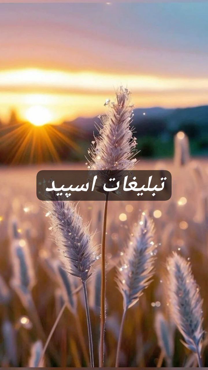 گروه تلگرام  بچه های ایران زمین 