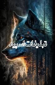 گروه دورهمی تگزاس (42)