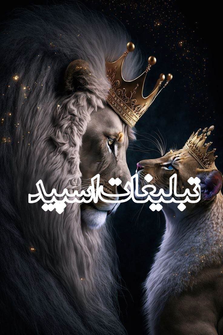 ⎯꯭᪵̽𝆺꯭𝅥𝐖𝐈𝐋𝐃𓆩᪵🜲꯭𓆪̥𝐖𝐎𝐋𝐅⎯꯭꥓᪵ͯ⟶ (191)