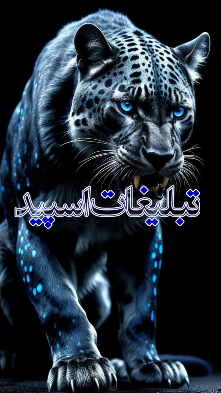 تبلیغات