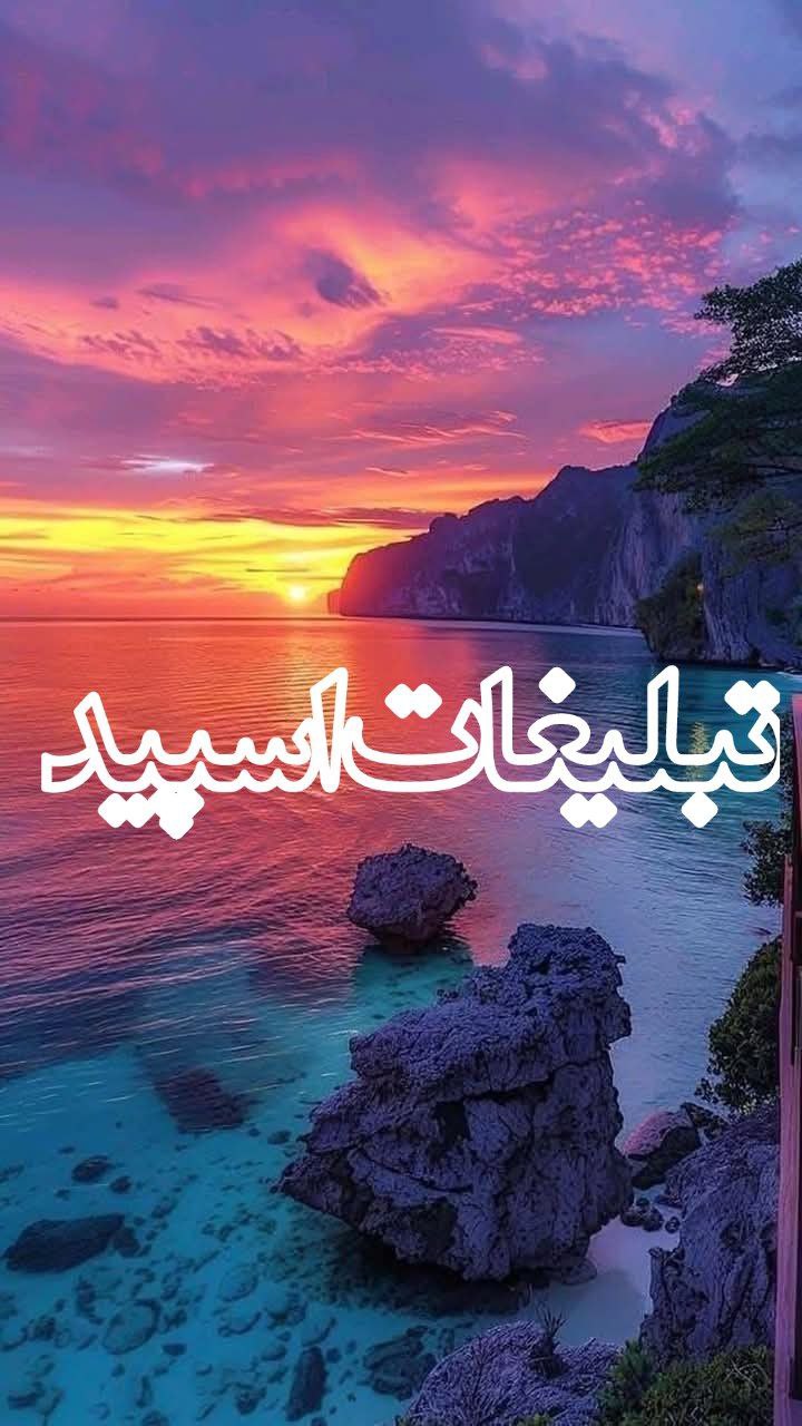 وایلد ولف (50)